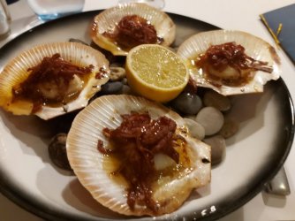 20210505_181201.jpg 20210505_181201.jpg