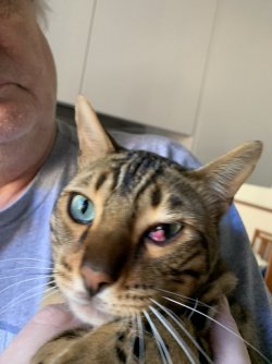 IMG_0179 2.jpg IMG_0179 2.jpg