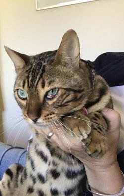 C3B58A96-7F10-456A-9288-CDBD0B5116BC.jpeg C3B58A96-7F10-456A-9288-CDBD0B5116BC.jpeg