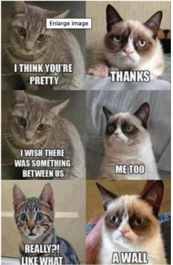 Screen Shot 2021-05-14 at 9.59.29 am.png Screen Shot 2021-05-14 at 9.59.29 am.png