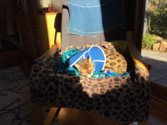 61CA31F5-2243-47A1-B6EC-F2898FAD8247.jpeg 61CA31F5-2243-47A1-B6EC-F2898FAD8247.jpeg