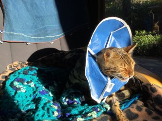 8F43AE88-6569-48B7-B955-023EA1E3D4D0.jpeg 8F43AE88-6569-48B7-B955-023EA1E3D4D0.jpeg