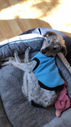 187385488_513921970019675_3085703492484322080_n.jpg 187385488_513921970019675_3085703492484322080_n.jpg