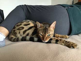 4DDA45CA-51A2-4B2A-8350-FAB0FAE03AAE.jpeg 4DDA45CA-51A2-4B2A-8350-FAB0FAE03AAE.jpeg