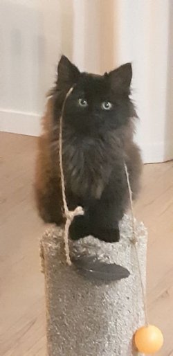 187318878_204805061318493_1913584852649028614_n.jpg 187318878_204805061318493_1913584852649028614_n.jpg