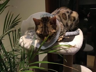 F889ADA0-D602-4F3D-9A25-6C14A99C9992.jpeg F889ADA0-D602-4F3D-9A25-6C14A99C9992.jpeg