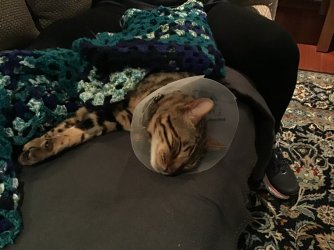 926572C8-997D-4CDC-8A6B-55C1D6F3ECF5.jpeg 926572C8-997D-4CDC-8A6B-55C1D6F3ECF5.jpeg