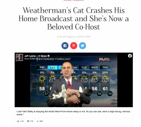 Screen Shot 2021-05-17 at 8.41.59 pm.png Screen Shot 2021-05-17 at 8.41.59 pm.png