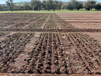 IMG_8641.JPG IMG_8641.JPG