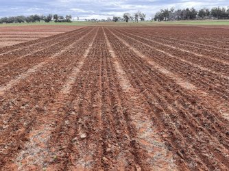 IMG_8650.JPG IMG_8650.JPG