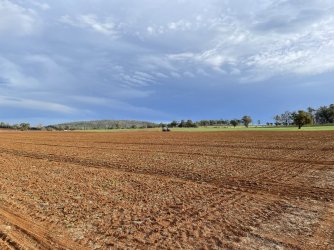 IMG_8661.JPG IMG_8661.JPG