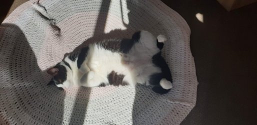 20210520_103709.jpg 20210520_103709.jpg