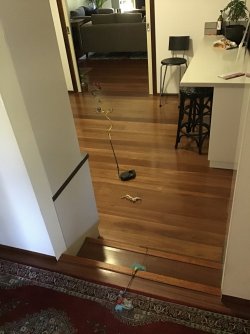 CE40884D-C5E4-4D42-A6B6-0B15F1B7DF76.jpeg CE40884D-C5E4-4D42-A6B6-0B15F1B7DF76.jpeg