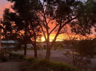 15DAFE64-51C5-45DE-A2D8-D4C9D96633DB.jpeg 15DAFE64-51C5-45DE-A2D8-D4C9D96633DB.jpeg