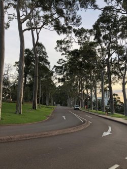 003E8641-4F08-448E-8DE3-89DCBF55B571.jpeg 003E8641-4F08-448E-8DE3-89DCBF55B571.jpeg