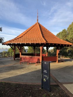 86793E29-9220-4D73-A545-3DE5DDA8E679.jpeg 86793E29-9220-4D73-A545-3DE5DDA8E679.jpeg