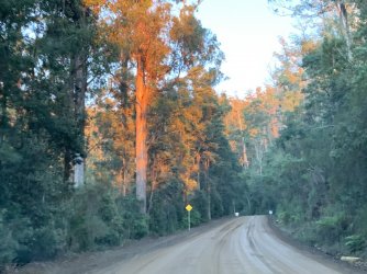 8F19C0CA-DBA5-4392-AE3C-458AD2BCB2C9.jpeg 8F19C0CA-DBA5-4392-AE3C-458AD2BCB2C9.jpeg