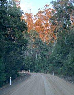 195C37DF-21AA-491C-9904-6AA79A3A69A2.jpeg 195C37DF-21AA-491C-9904-6AA79A3A69A2.jpeg