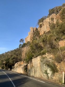 B1D6F09E-38F7-4795-8A0F-034674858703.jpeg B1D6F09E-38F7-4795-8A0F-034674858703.jpeg