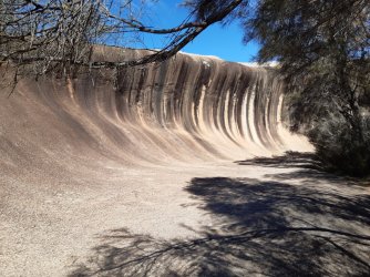 20210511_104859.jpg 20210511_104859.jpg