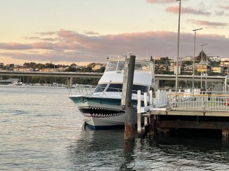 IMG_8753.JPG IMG_8753.JPG