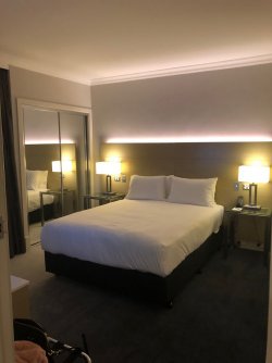 5D57C419-0D96-4201-9069-19E760C0F268.jpeg 5D57C419-0D96-4201-9069-19E760C0F268.jpeg