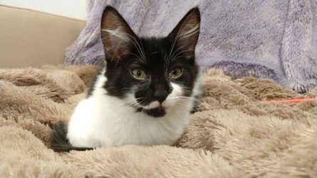 IMG_20210509_164140423.jpg IMG_20210509_164140423.jpg