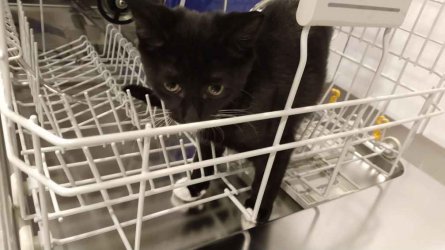 IMG_20210520_165943752.jpg IMG_20210520_165943752.jpg