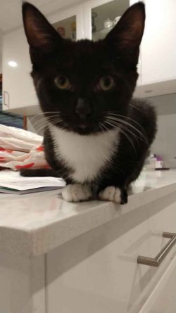 IMG_20210520_170746334.jpg IMG_20210520_170746334.jpg