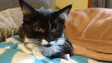 IMG_20210509_164209111.jpg IMG_20210509_164209111.jpg