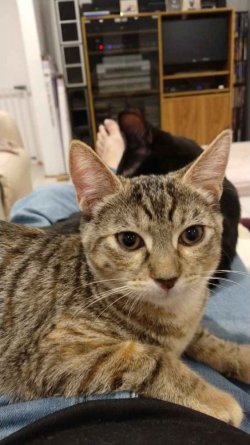 IMG_20210603_171937872.jpg IMG_20210603_171937872.jpg