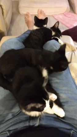 IMG_20210430_200308384.jpg IMG_20210430_200308384.jpg