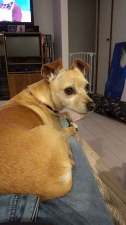 IMG_20210511_202211575.jpg IMG_20210511_202211575.jpg