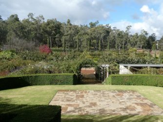 Mason7.jpg Mason7.jpg