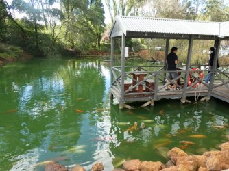 Mason5.jpg Mason5.jpg