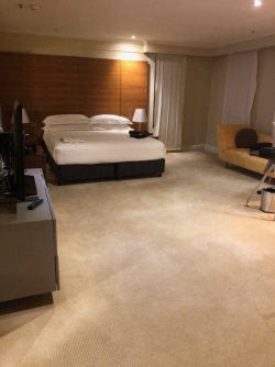 IMG_1932.jpeg IMG_1932.jpeg