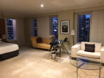 IMG_1929.jpeg IMG_1929.jpeg