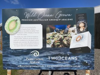 IMG_8768.JPG IMG_8768.JPG