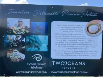 IMG_8769.JPG IMG_8769.JPG