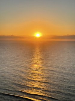 5668B027-FE5B-4A7B-AC16-92CB6AD7E694.jpeg 5668B027-FE5B-4A7B-AC16-92CB6AD7E694.jpeg