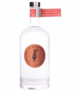 1623375898893.png 1623375898893.png