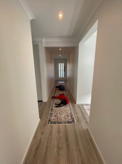 IMG_1565.jpeg IMG_1565.jpeg