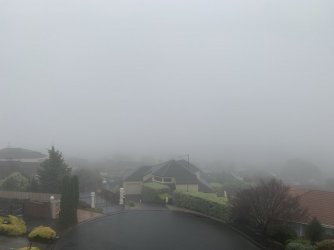 1F1F48BC-6A7A-45AB-96B2-437D1C3D5461.jpeg 1F1F48BC-6A7A-45AB-96B2-437D1C3D5461.jpeg