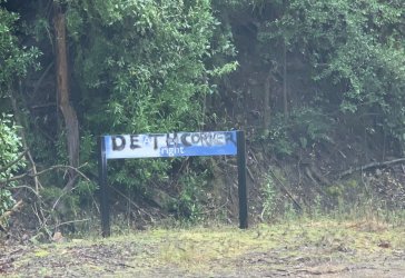 963316CB-D71B-411A-B4D8-34772351BA52.jpeg 963316CB-D71B-411A-B4D8-34772351BA52.jpeg