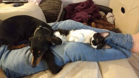 IMG_20210612_180123612.jpg IMG_20210612_180123612.jpg