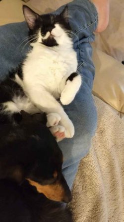 IMG_20210612_182104029.jpg IMG_20210612_182104029.jpg