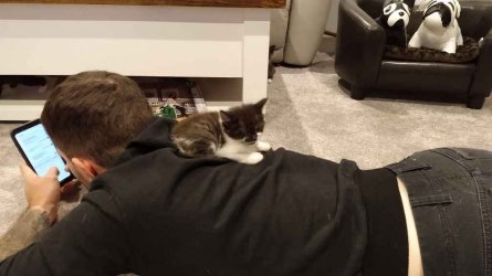 IMG_20210303_195444747.jpg IMG_20210303_195444747.jpg