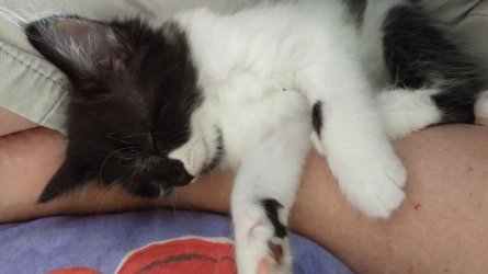 IMG_20210311_112906874.jpg IMG_20210311_112906874.jpg