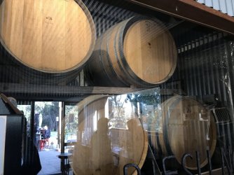 IMG-3358.JPG IMG-3358.JPG