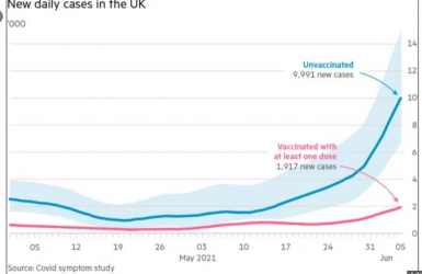 1623769648354.png 1623769648354.png